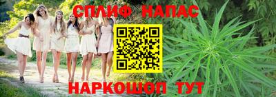 сатива Вышний Волочёк