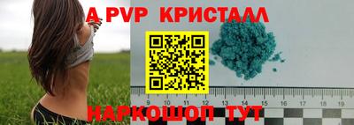 прущие крисы Владивосток