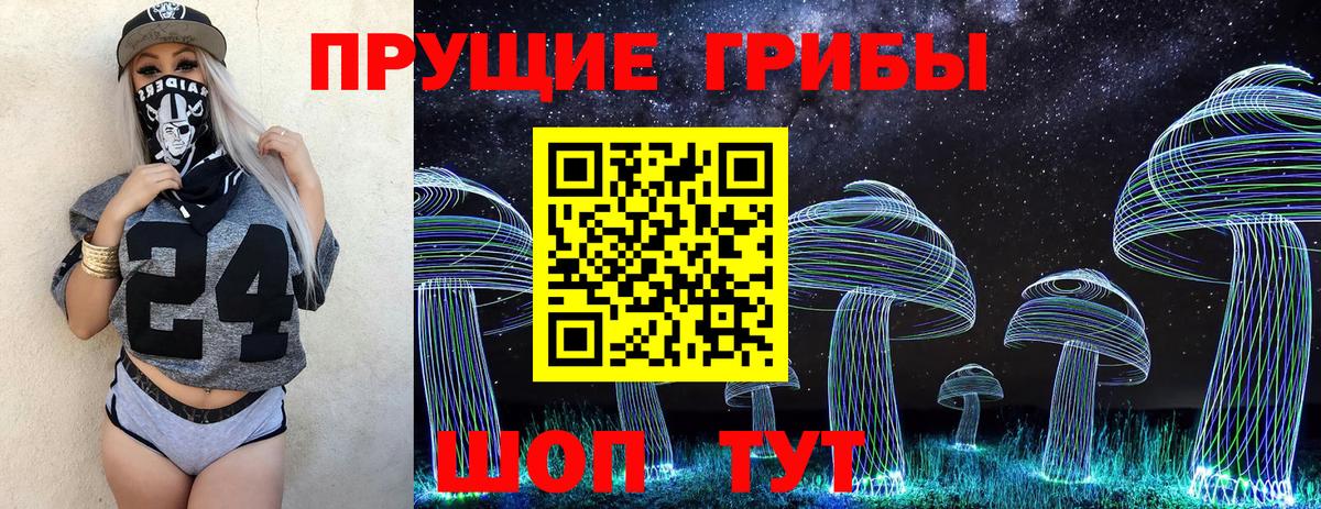 Всеволожск  Псилоцибиновые грибы MAGIC MUSHROOMS  где продают наркотики  Вход с VPN 